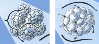 A collage of a cartoon of a cell

AI-generated content may be incorrect.